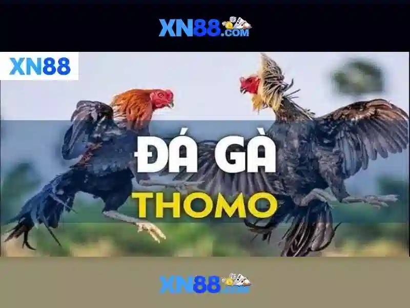 Định nghĩa và nguồn gốc