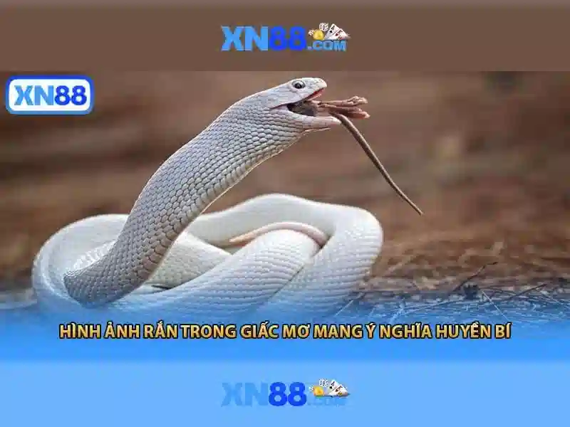 Giới thiệu về xn88