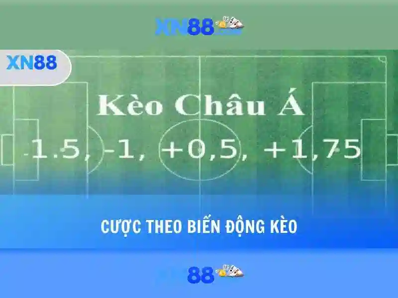 Lịch sử và nguồn gốc của xn88