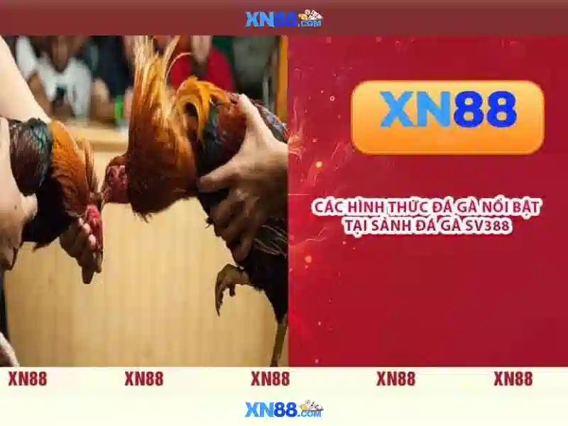 Đặc điểm nổi bật
