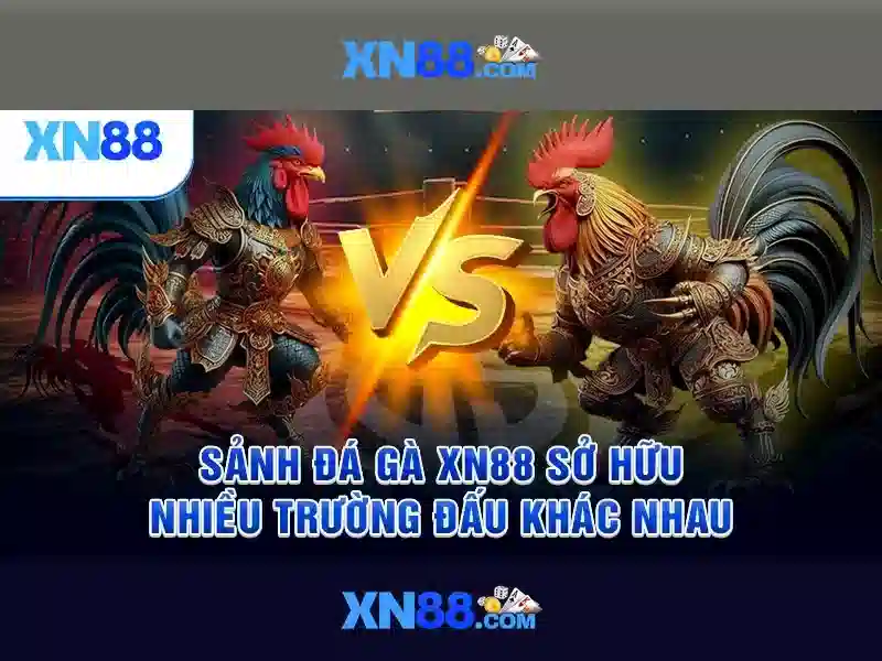 Cách xn88 hoạt động trong thị trường trò chơi và xổ số