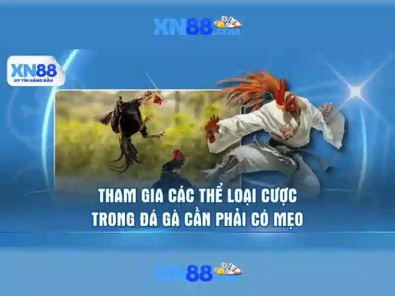 Giới thiệu về xn88