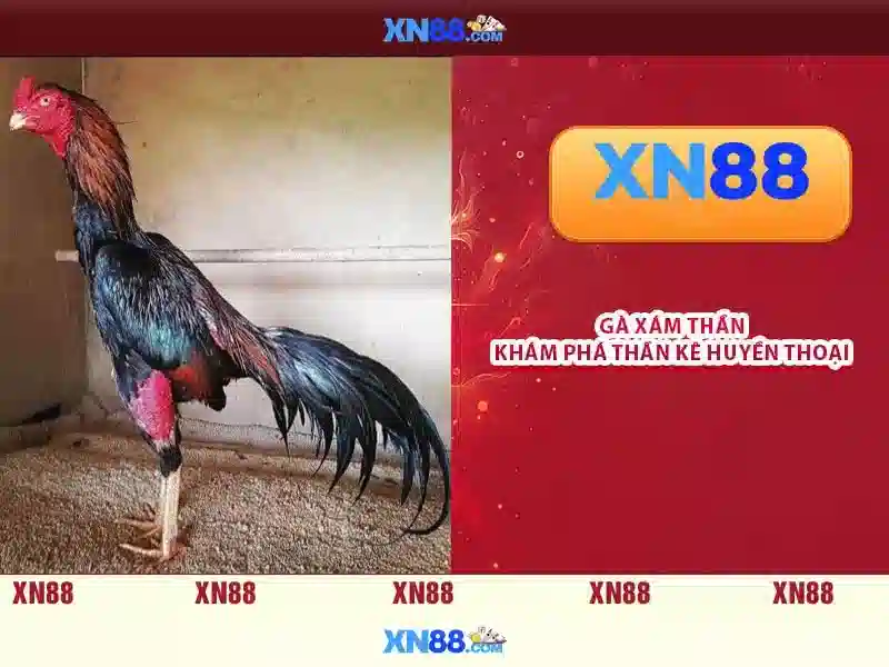 xn88: Tổng quan, an toàn và trải nghiệm người dùng