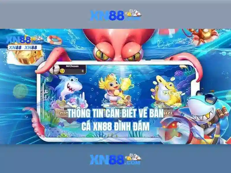 Lịch sử và phát triển của xn88
