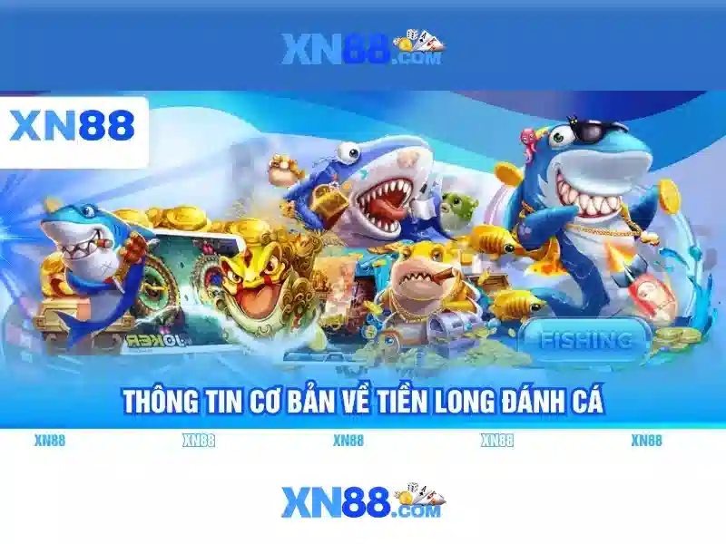 xn88 là gì? Khám phá ý nghĩa và ứng dụng