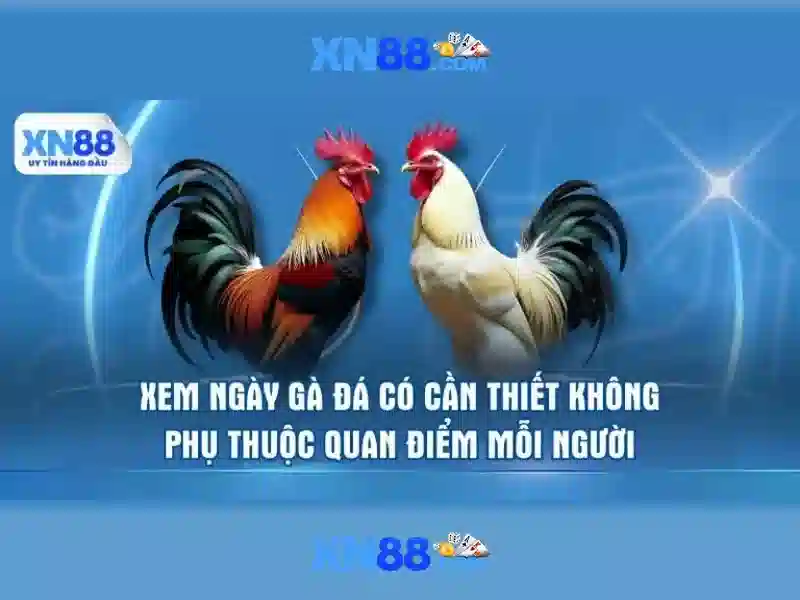 xn88 — Nền tảng trò chơi trực tuyến hiện đại và an toàn
