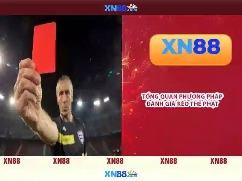Xn88 là gì
