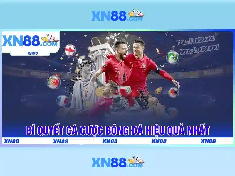 Giới thiệu về xn88