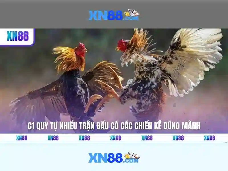 Nguồn gốc và mục tiêu của xn88