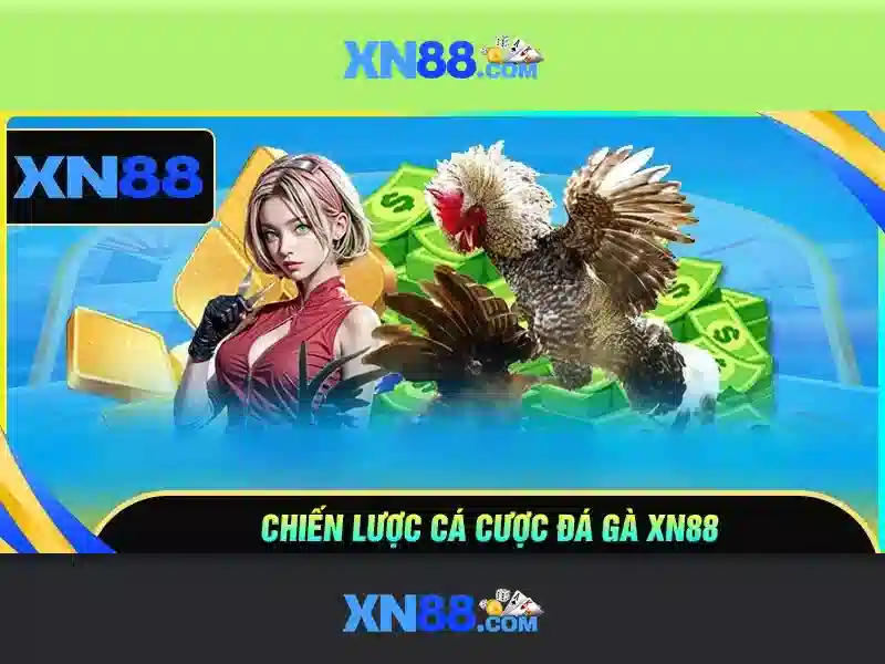 Kinh nghiệm người chơi và mẹo chơi