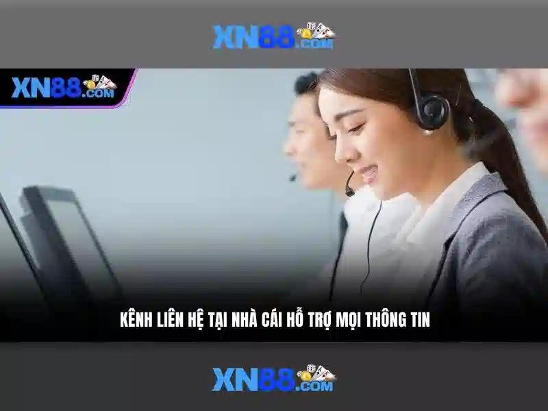 Trải nghiệm người chơi và hỗ trợ