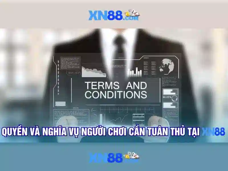 Trải nghiệm người dùng và Phản hồi cộng đồng