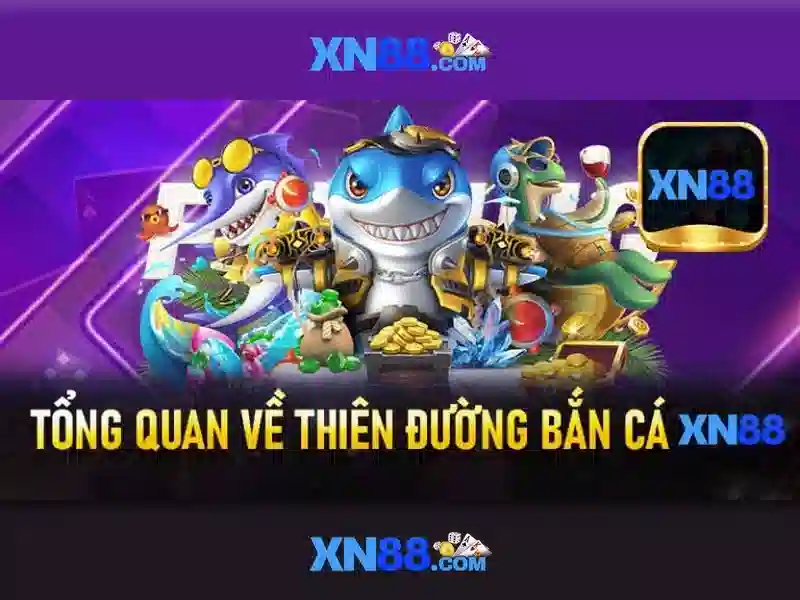 An toàn và hỗ trợ người dùng