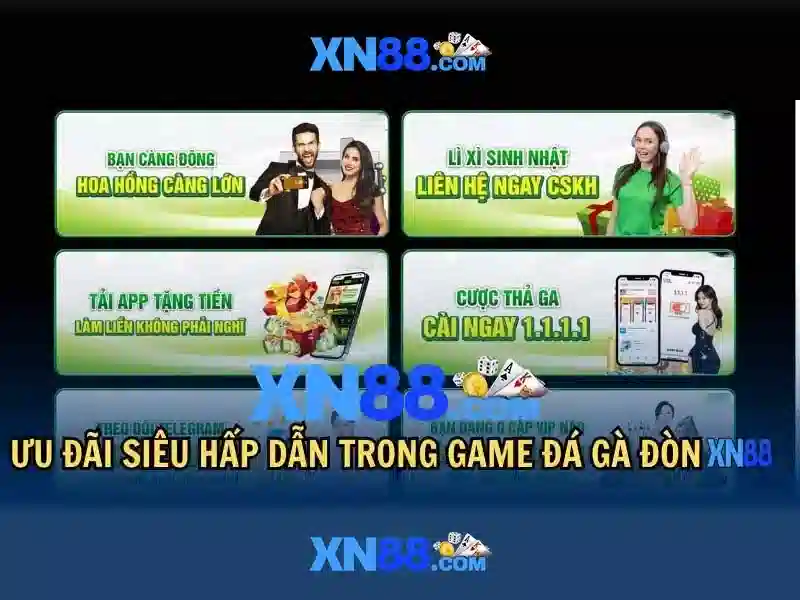 Tổng quan về xn88: Nền tảng cược trực tuyến