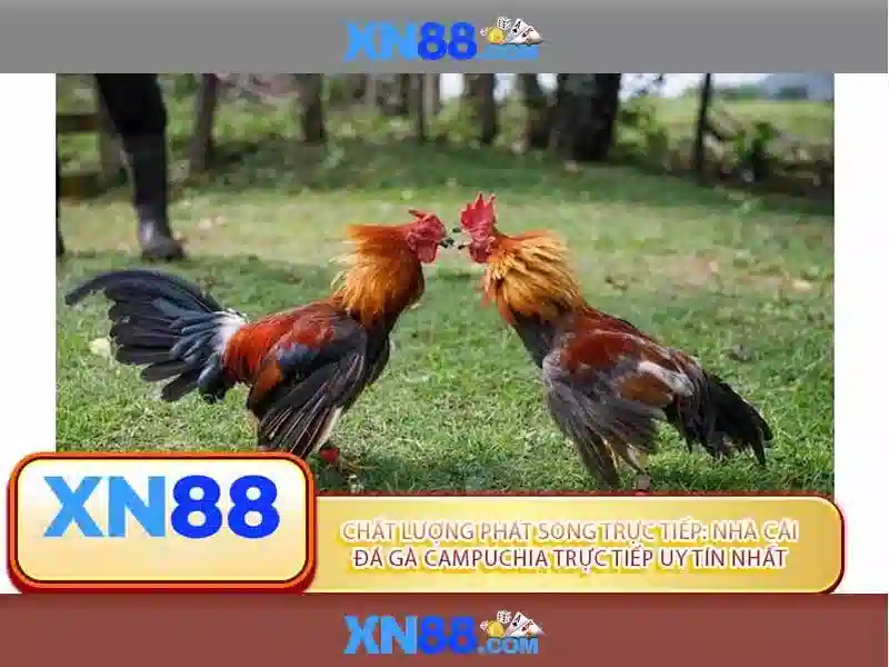 xn88: Nền tảng trò chơi trực tuyến và đánh giá