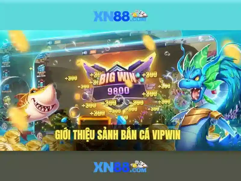 Giao diện và tính năng