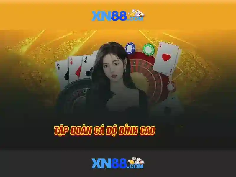Các tính năng nổi bật của xn88