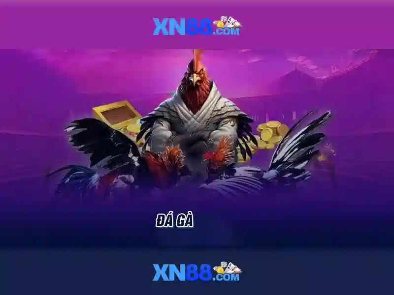 XN88 – Tổng quan và trải nghiệm người dùng