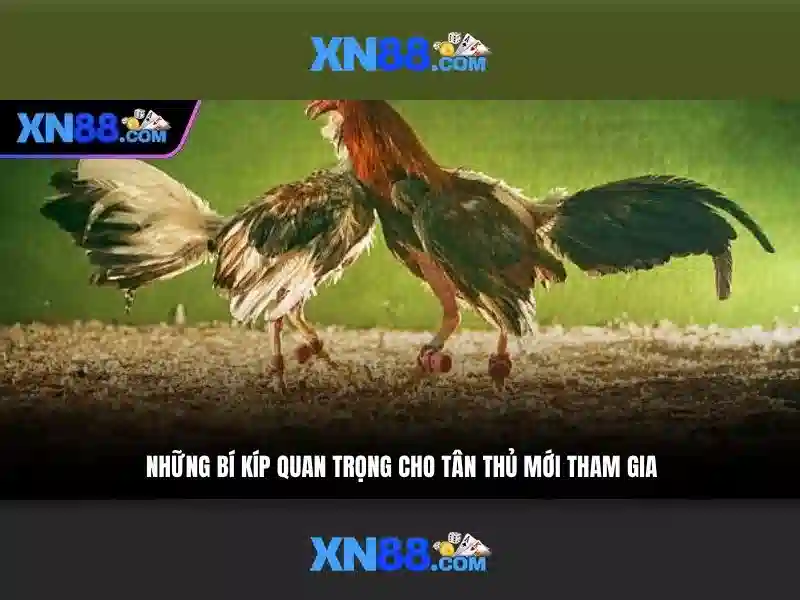 xn88: Nền tảng giải trí trực tuyến hàng đầu