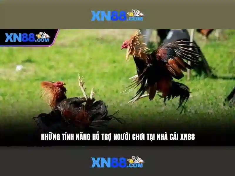 xn88 là gì và vai trò của nó trong giải trí trực tuyến