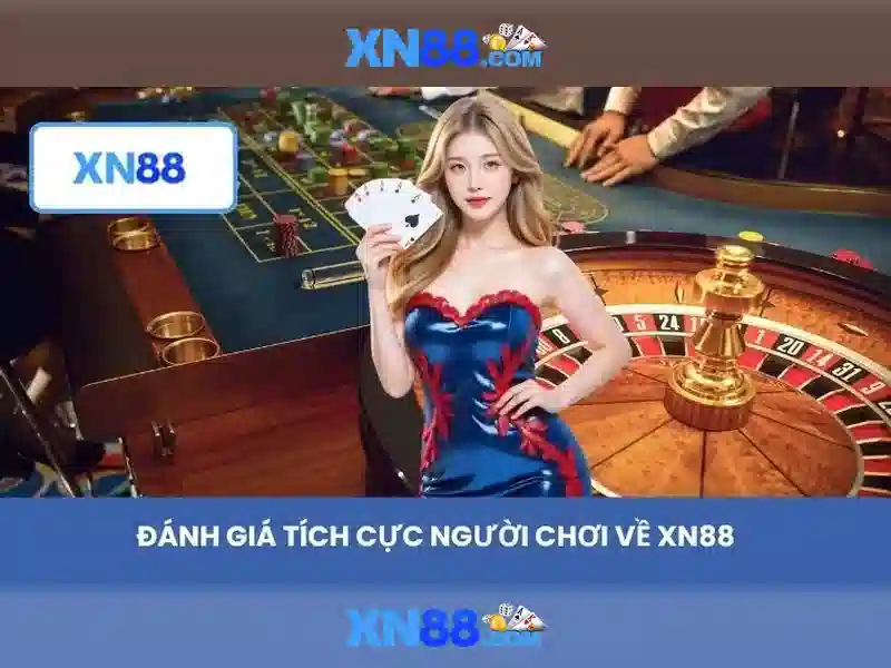 'Trải nghiệm người dùng và phản hồi cộng đồng'