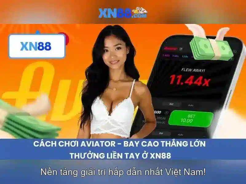Trải nghiệm người dùng và phản hồi từ cộng đồng