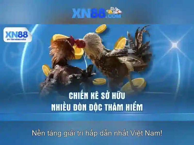 xn88: Khía cạnh nền tảng và trải nghiệm người dùng
