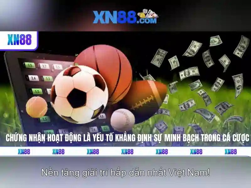 Lịch sử và cơ sở pháp lý