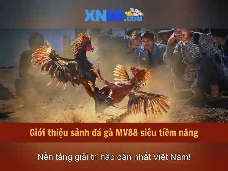 Tại sao chọn xn88?