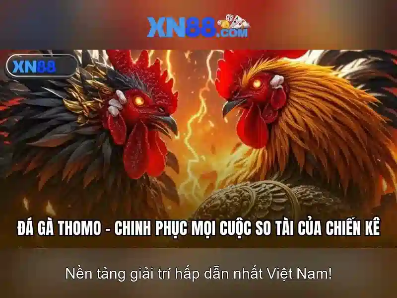 Trải nghiệm người dùng và hỗ trợ khách hàng