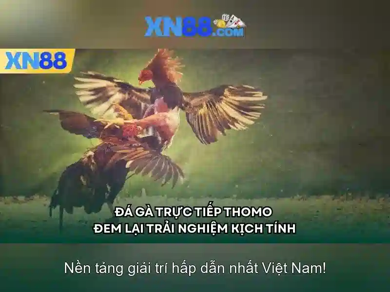 Các tính năng chính