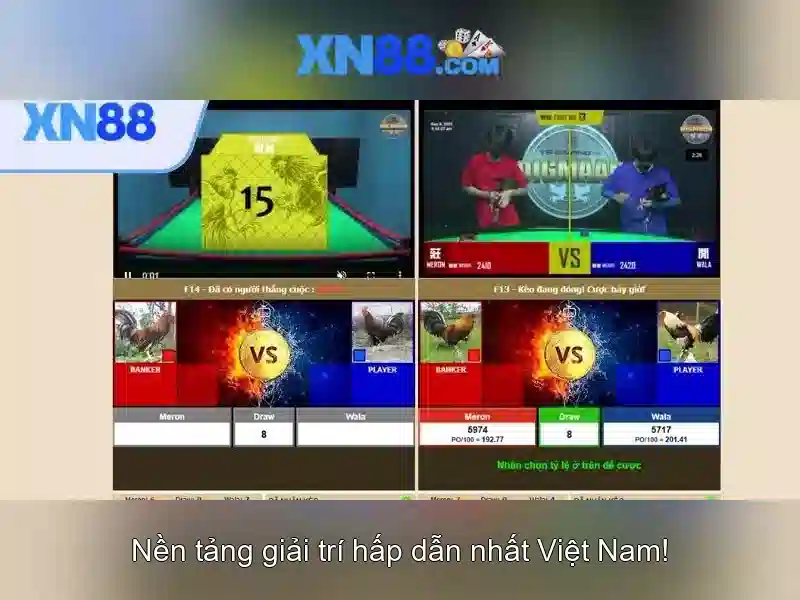 Khuyến nghị và lưu ý