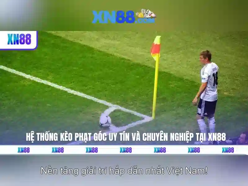 Kết luận và khuyến nghị
