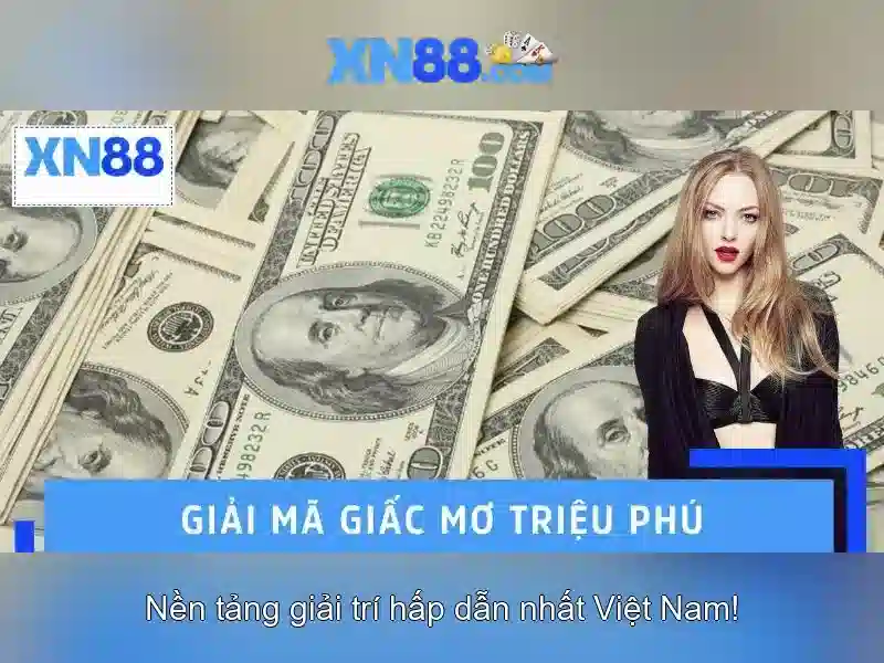 Trải nghiệm người dùng và phản hồi của cộng đồng