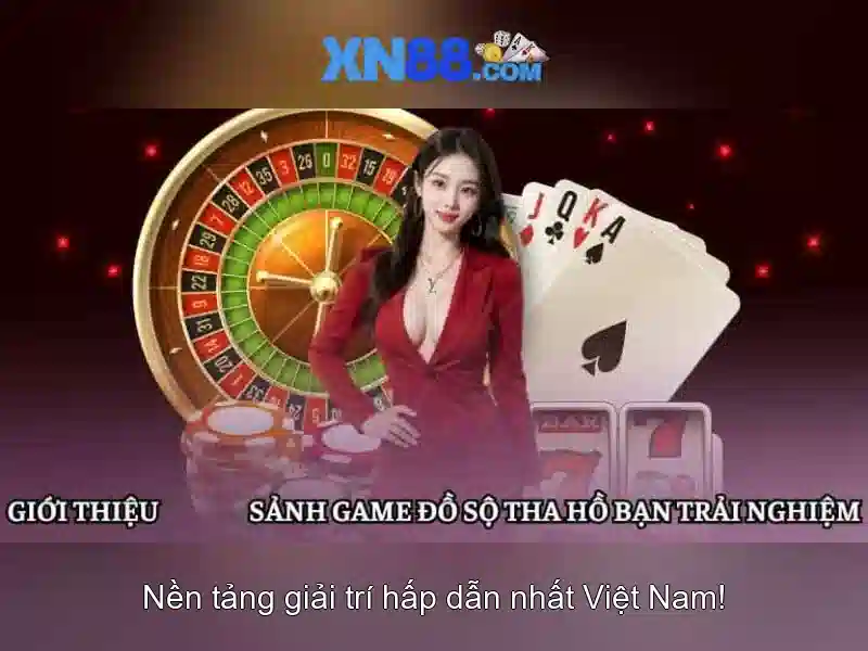 Trải nghiệm người dùng và phản hồi cộng đồng