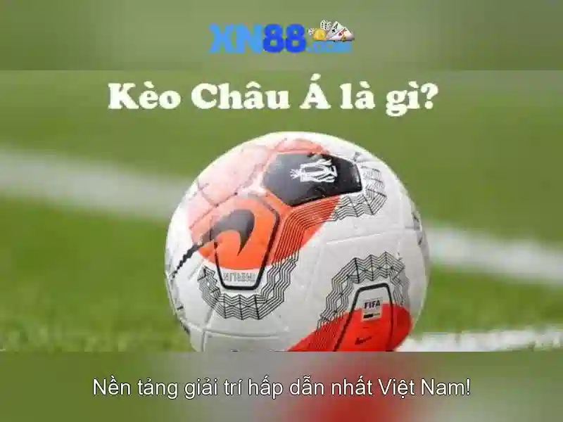 xn88 สมัคร – Tổng quan về chủ đề và giá trị cốt lõi