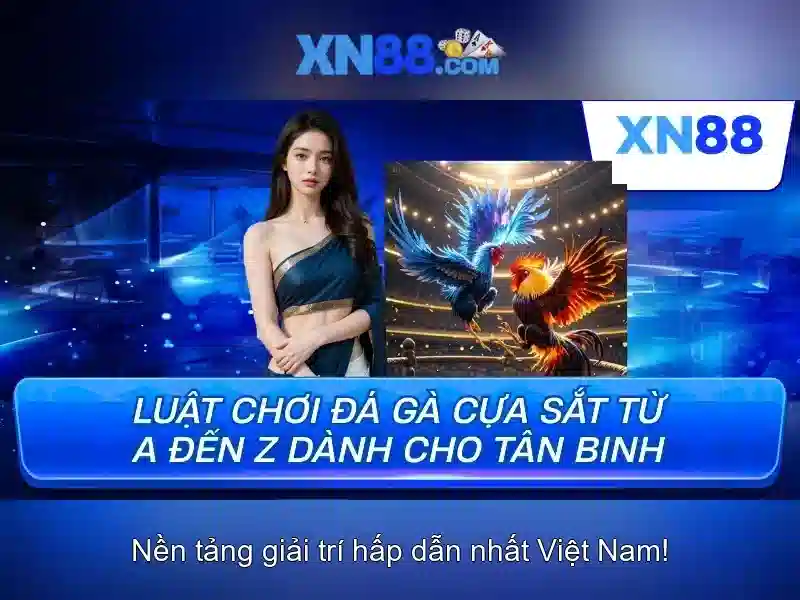 Thanh toán và bảo mật