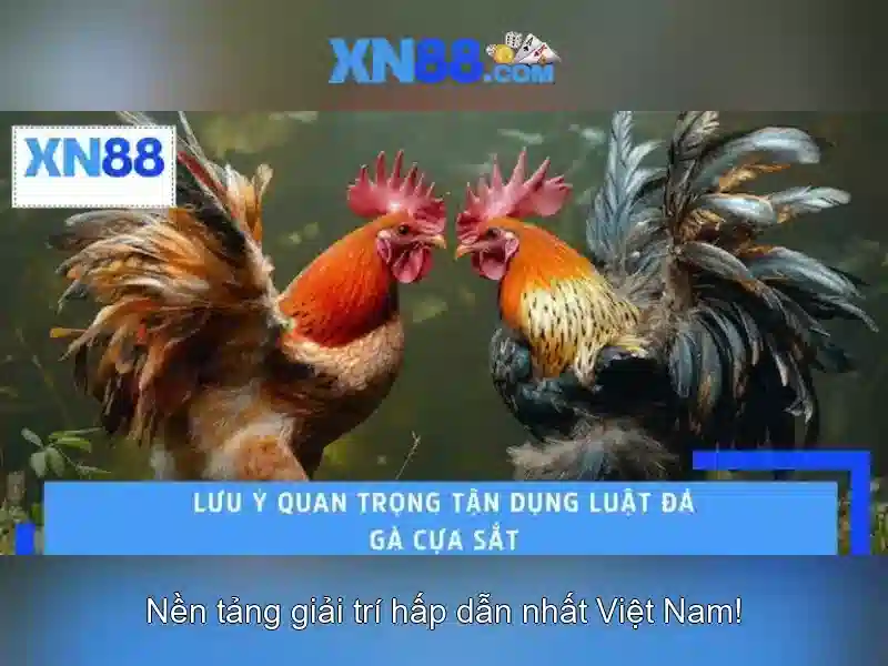 Thanh toán và rút tiền