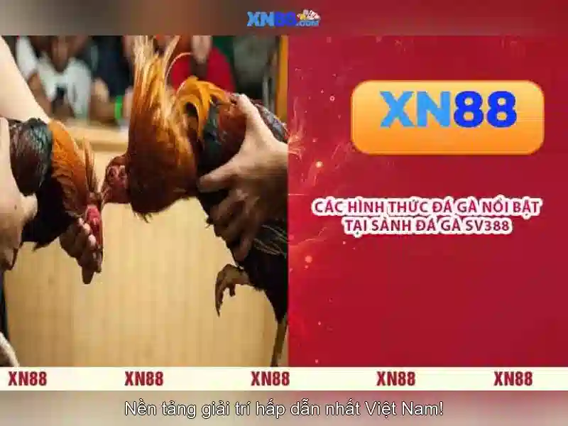 Giao diện người dùng và trải nghiệm