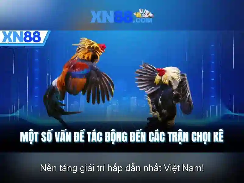 An toàn và pháp lý