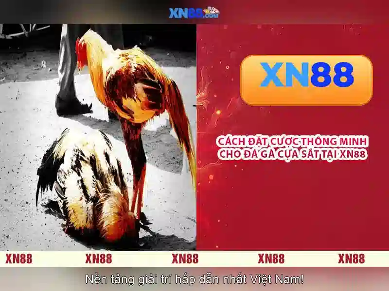 Trải nghiệm người dùng xn88