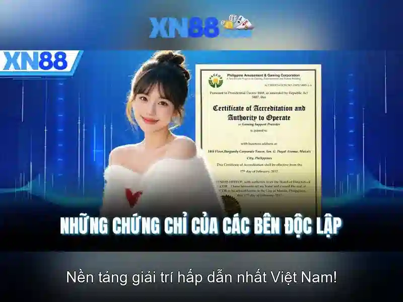 Lịch sử và nguồn gốc của xn88