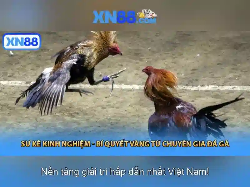 An toàn và bảo mật