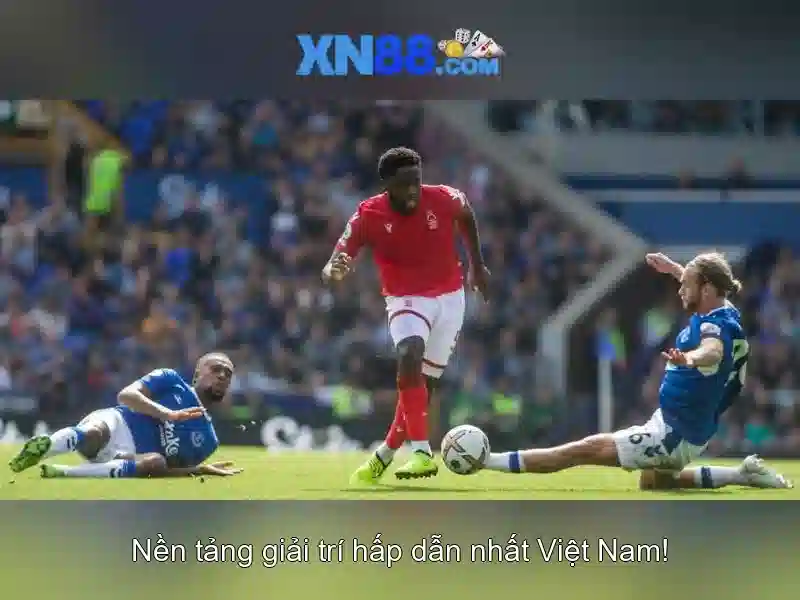 Kết luận