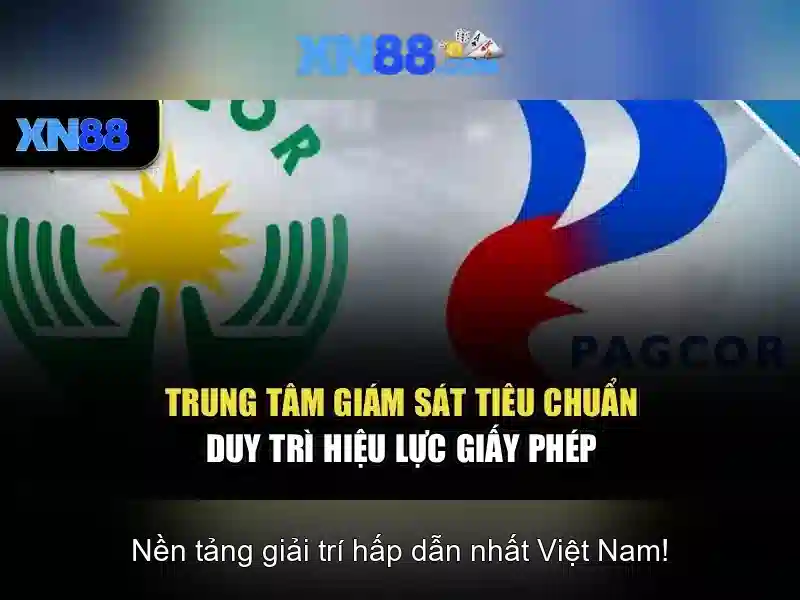 xn88 là gì