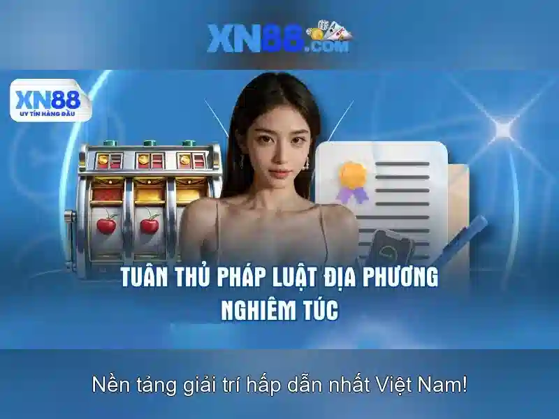 Các lĩnh vực ứng dụng của xn88