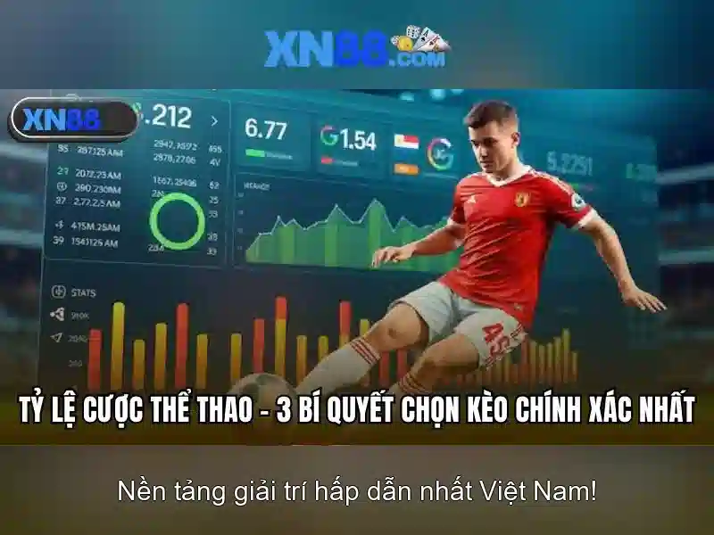 Các dịch vụ nổi bật