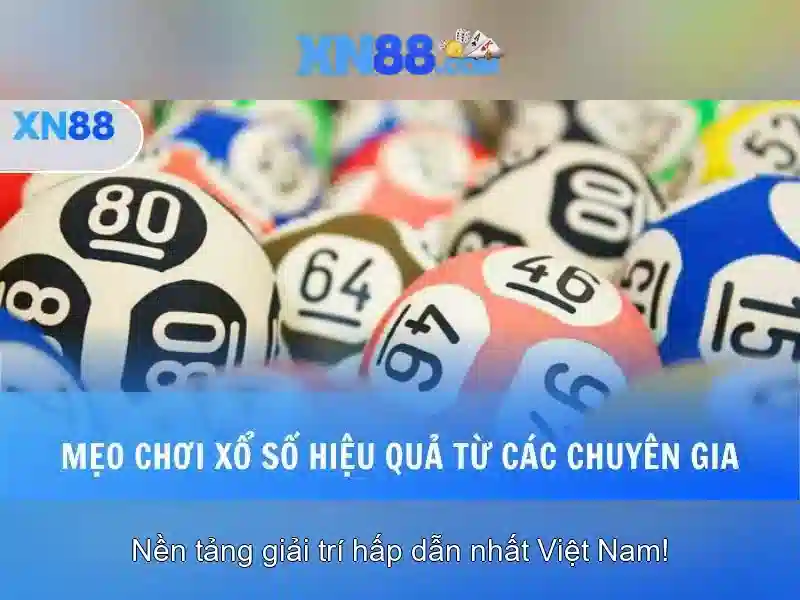 Các trò chơi và trải nghiệm