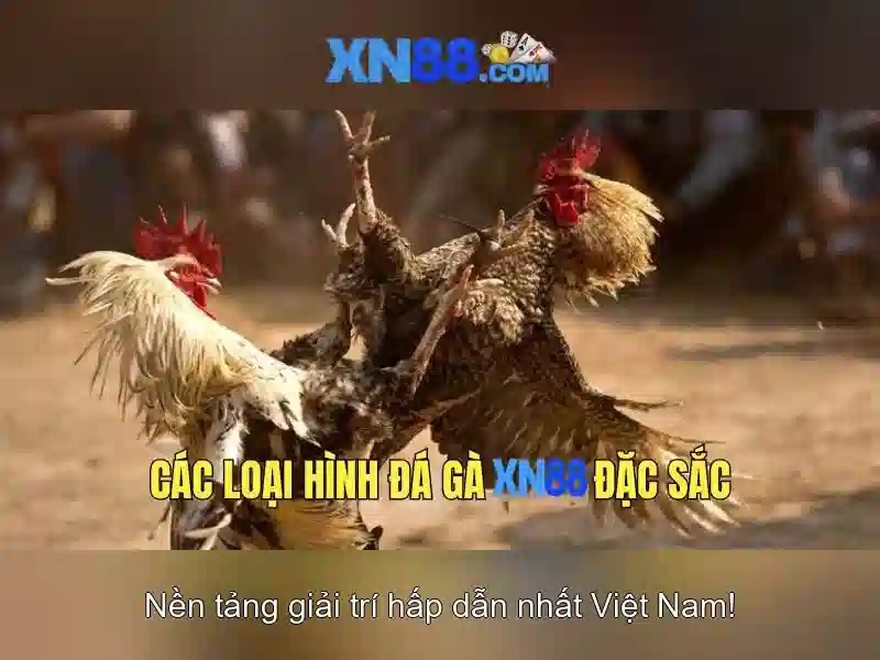 Sản phẩm và dịch vụ cốt lõi của tai app xn88