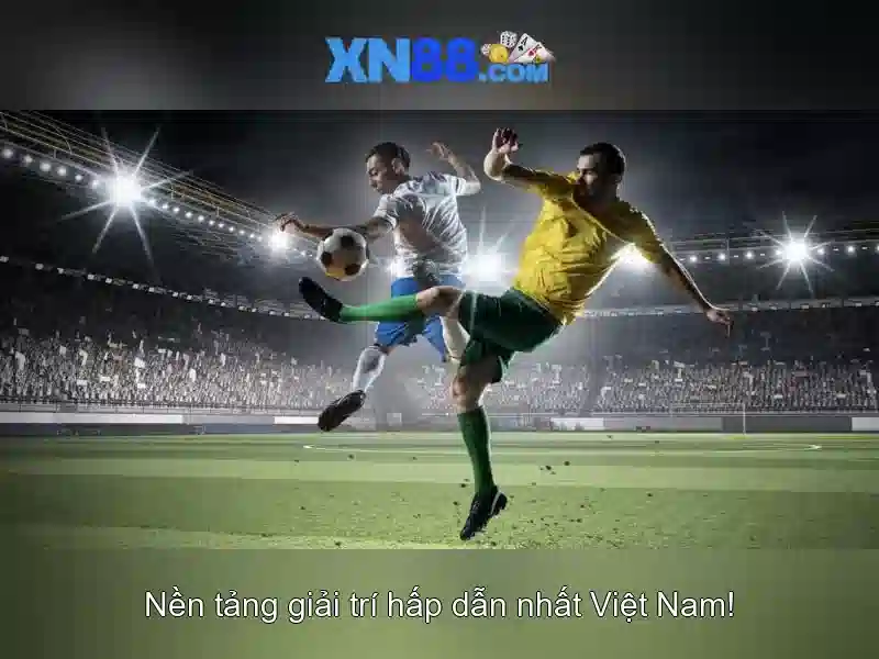 Giới thiệu về xn88